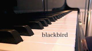 BLACKBIRD - MCCARTNEY & LENNON - PIANO COVER BY KAREN LUUK