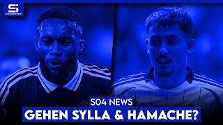 Fährmann-Interna an die BILD? Denkt Sylla an Abschied? Hamache spaltet Schalke! Tchibara? | S04 NEWS