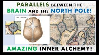 INNER ALCHEMY, Parallels Between EARTH and the BODY, Macrocosm Vs. Microcosm, The Brain & North Pole