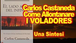 Carlos Castaneda – How to Drive Away from Voladores: a summary