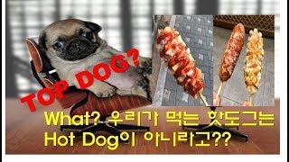 (영어 알려주는 아재) 내가 먹는 핫도그가 Hot Dog이 아니야? DOG에 관한 표현들