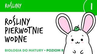 Rośliny 1  Rośliny pierwotnie wodne (krasnorosty i zielenice) - biologia do matury