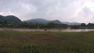 Elephant crossing the river