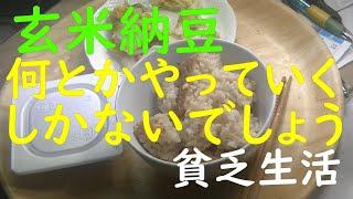 「極貧生活」「貧乏生活」玄米ご飯、納豆。自家製ゆず白菜。何とかやっていくしかないでしょう。「行政書士勉強」７０過ぎのじじいが行政書士をめざす。