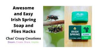 Awesome and Easy Irish Spring Soap and Flies Hacks