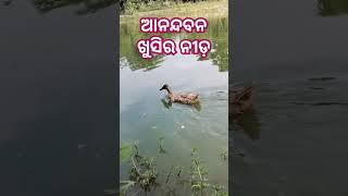 #Anandban #bbsr #nature
