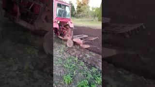 Гонщик