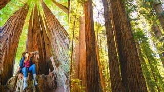 48 Hours in the LOST COAST of CALIFORNIA - Humboldt County