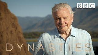 Sir David Attenborough on his new series, Dynasties - BBC