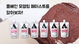 모델링 페이스를 소개합니다  【홀베인 공식】