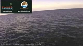 Munising buoy cam