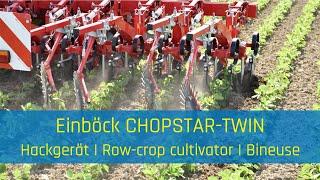 Row-crop cultivator | CHOPSTAR-TWIN - EINBÖCK Shortclip #23