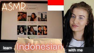 ASMR learn INDONESIAN with me FOR VERY BEGINNERS on BABBEL (greetings + basic convo) for sleep 