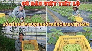 455 SỐ TIỀN KIẾM ĐƯỢC NHỜ TRỒNG RAU VIỆT NAM