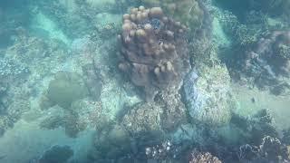 Ocean Playground - Koh Tao, Thailand