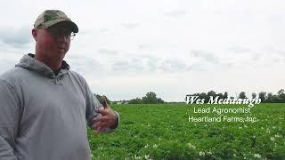 Heartland Farm: Easy Product to Work With