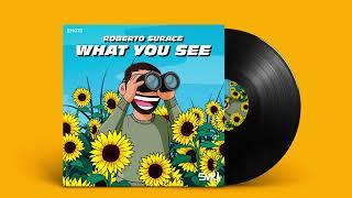 Roberto Surace - What You See