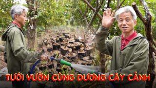 Tưới vườn cùng mình I Dương Cây Cảnh