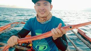 Trumpet Fish | Jigging | Cebu Philippines | BiRRA