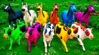 Colorful Cows vs Horses Transformation: Magical Super Cows Epic Counter Attack! Animals Cartoon