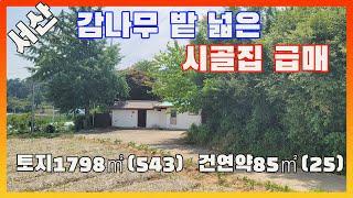 [물건번호2607]서산시 음암면 서산ic에서 8km "감나무 시골집"을 소개 합니다,  잘 가꿔진  텃밭과 아늑한 감나무과수원 포근함을 느끼게하는 서산농가주택 입니다, 서산시골집