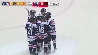 Greenville Swamp Rabbits vs South Carolina Stingrays | ECHL Hockey Highlights  March 30, 2024