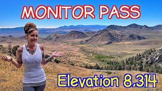 Solo Adventure In California | Monitor Pass