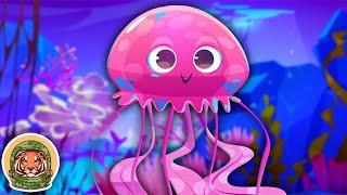 Meet The Jellyfish! | Animal Songs For Kids | KLT WILD