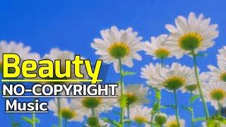 Beauty no-copyright music || kuldex ncs ||