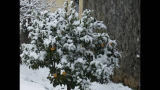 Longroiva Meda Guarda Portugal Neve Video Movie Amazing Snow in Longroiva.wmv