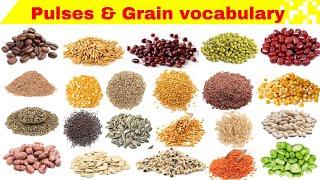 Learn Pulses & Grains Names with Pictures || english vocabulary