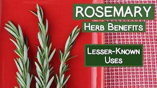 Rosemary Herb Benefits, Less Commonly Known Folk Uses