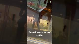 Ежедневные шаги к жизни мечты. 30 дней, 30 шагов. ПроЯвись для себя или для мира! Старт ежемесячно.