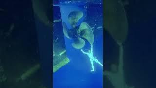 Do you have Thalassophobia? | fear of the ocean  | #shorts #phobias