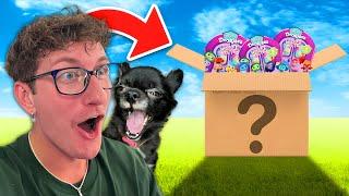 PUDDIN GOT ME A INSIDE OUT 2 MYSTERY BOX!!