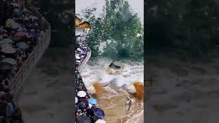 What an interesting and funny short video! #nature #shorts #trending #flood