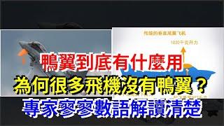 鴨翼到底有什麼用，為何很多飛機沒有鴨翼？專家寥寥數語解讀清楚，[熱點軍事]