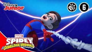 Spidey | Maak kennis met Spidey ️ | Disney Junior BE