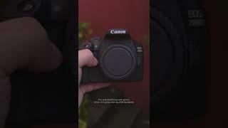 How Many AF Points Does the Canon 2000D Have?