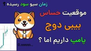 هشدار بیبی دوج امکان اصلاح - مقاومت حساس بیبی دوج کوین
