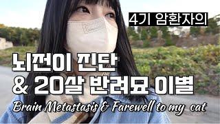 [4기 암환자] 뇌전이 진단 & 20살 반려묘와의 이별 | 새 항암 엔허투 시작 | Brain Metastasis & Farewell to my beloved cat