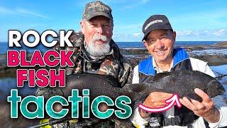 How to CATCH + COOK Rock Blackfish: Two BEST Methods 