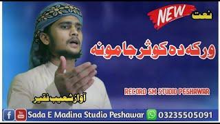 New Naat || New Pashto Naat || V Shohaib Faqir || By Sada E Madina Studio Peshawar