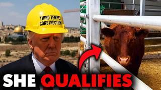 Donald Trump the Jewish "Messiah" to Build the Third Temple?? and Red Heifer Update 2025
