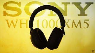 Sony WH-1000XM5 : Gold Standard For ANC Headphones?