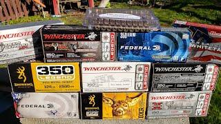 ULTIMATE 350 LEGEND AMMO TEST - group them all at 100 yards