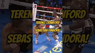 TERENCE CRAWFORD VS SEBASTIAN FUNDORA IS HAPPENING NEXT!#trending #youtubeshorts #viralvideo #fyp