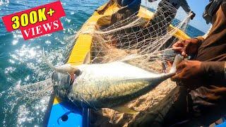 Amazing Giant Trevally Fish And Back To Back Queen fish Catching In The Sea