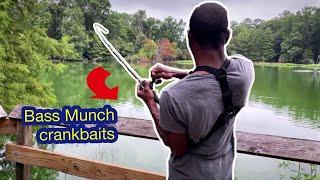 Crankbaits Are Slept On By Bank Anglers| Bankfishing Tips| Florida Pond Fishing (Fall Bass Fishing)