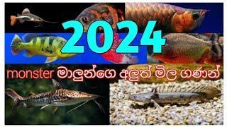 2024 monster fish price sri lanka | 2024 monster මාලුන්ගෙ අලුත් මිල ගණන්..!!